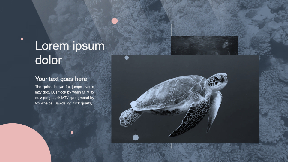 Ocean background with turtle image.