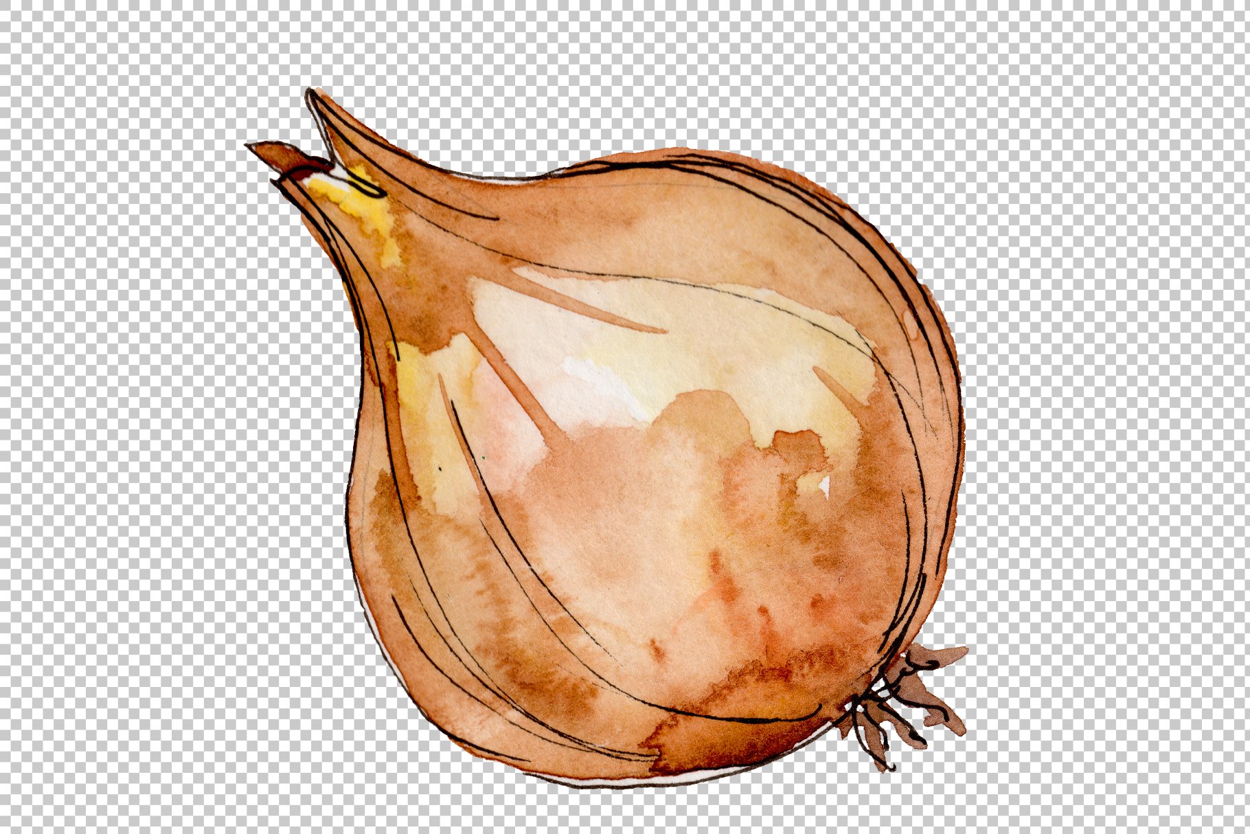 Classic onion in a watercolor style.