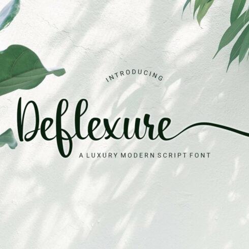 Deflexure - A Luxury Script Font cover image.