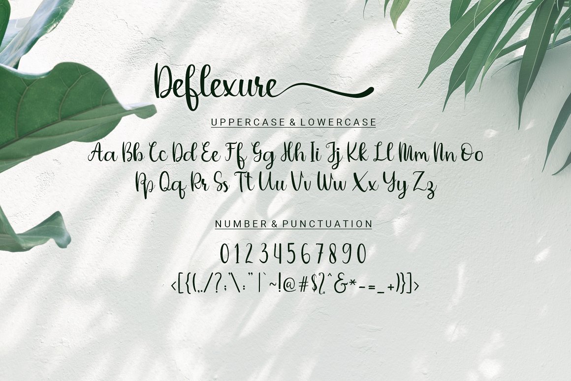 Deflexure - A Luxury Script Font alphabet.