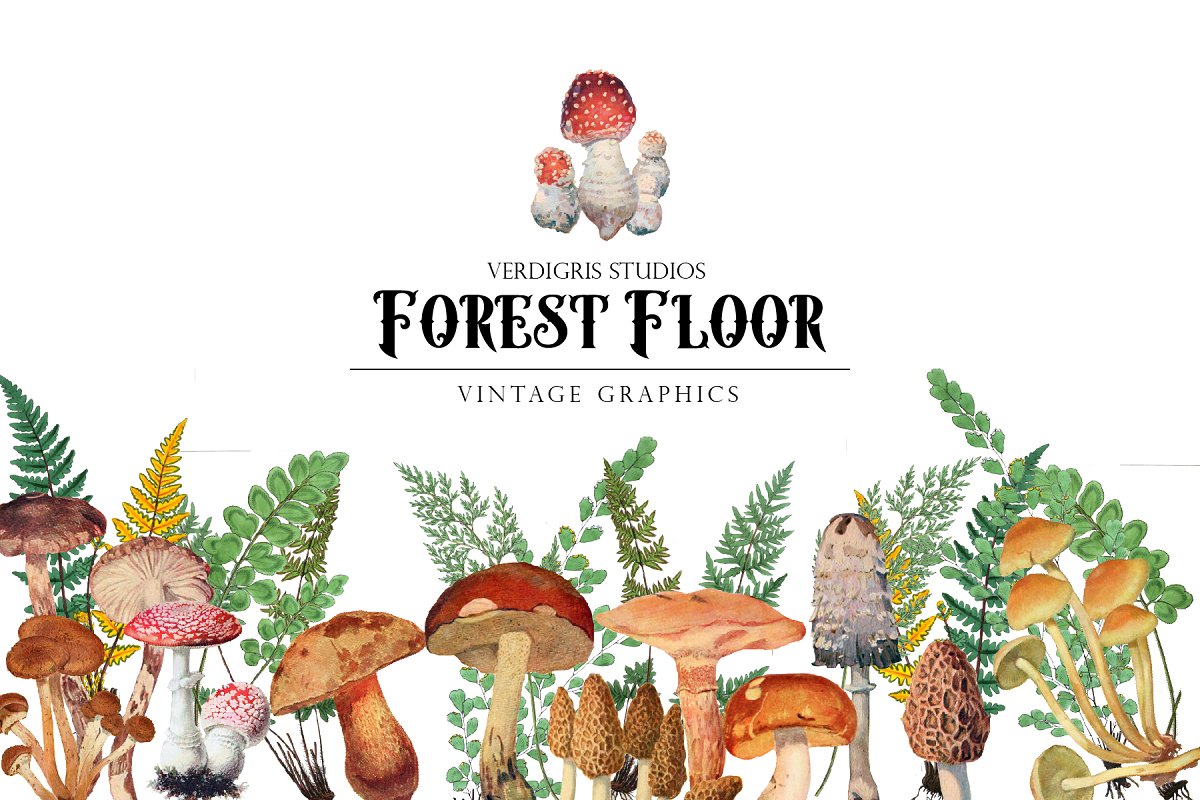 Cover image of Watercolor Mushroom Clipart.