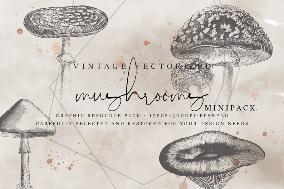 Cover image of Vintage Vectorized Mushroom Clipart.