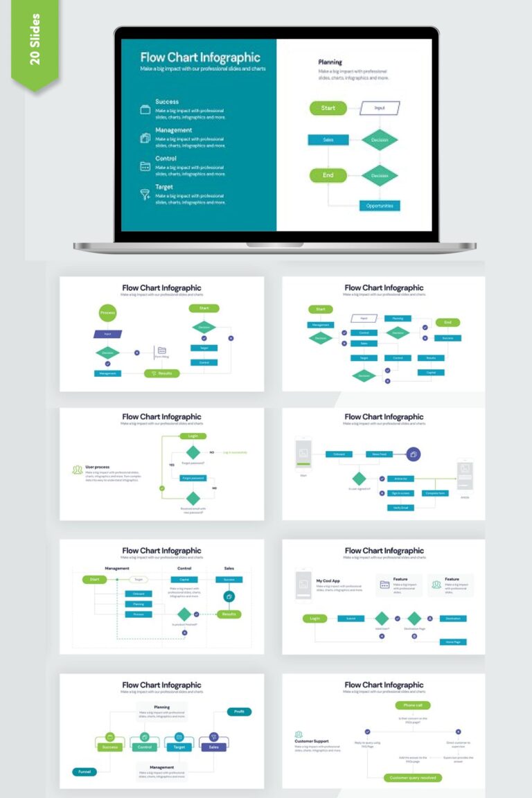 Flow Chart Infographics – MasterBundles