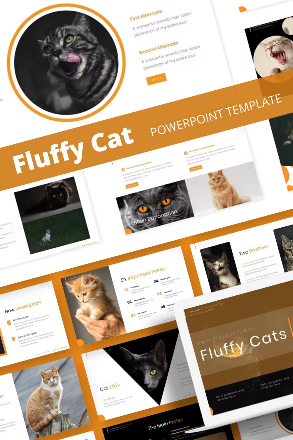 Fluffy cat powerpoint template - pinterest image preview.