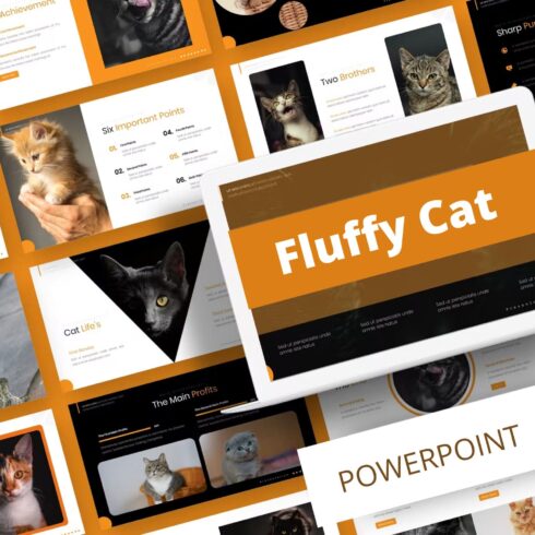 Fluffy cat powerpoint template - main image preview.