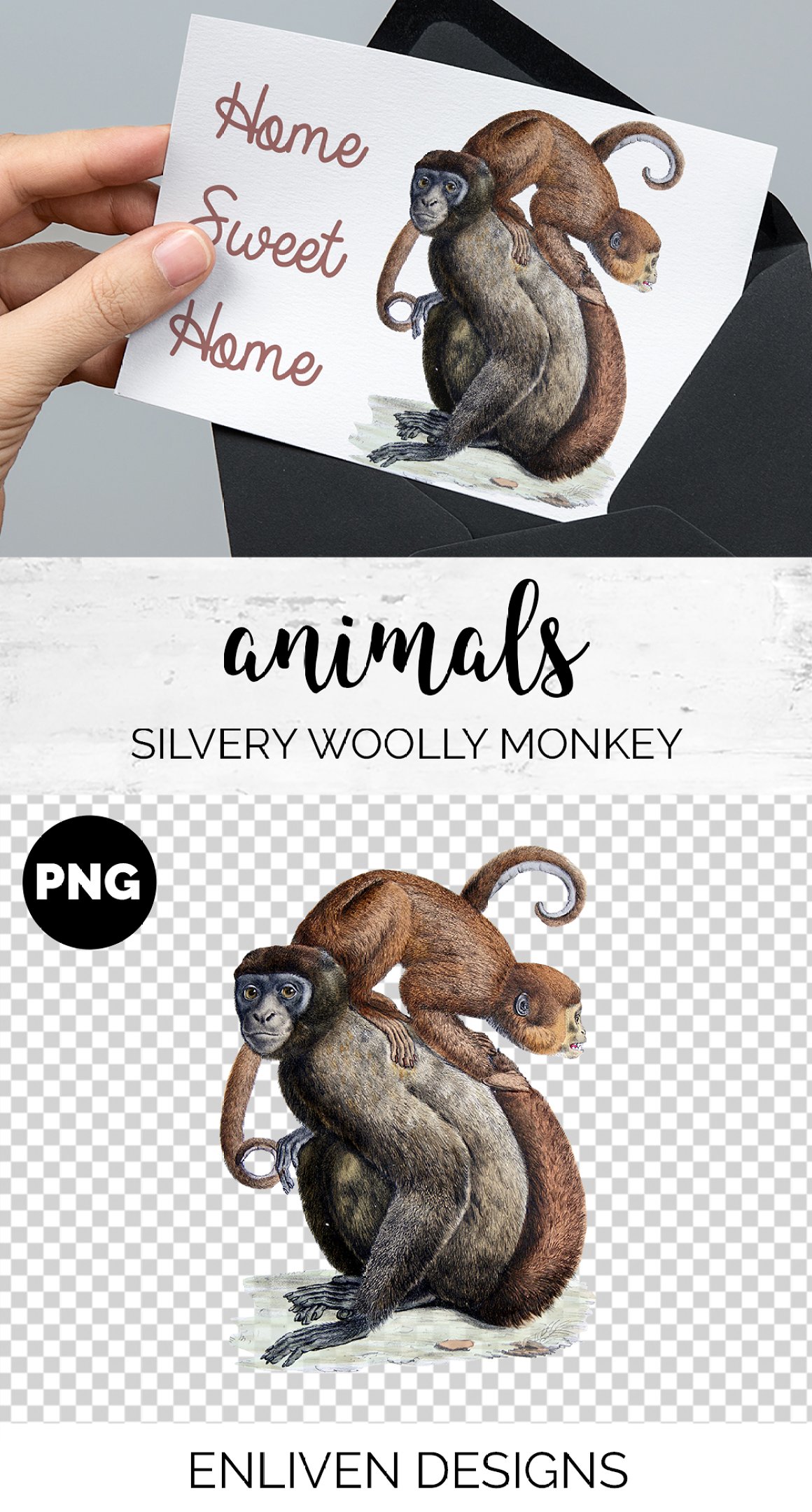 All monkey illustrations have a transparent background and will perfect on different textures.