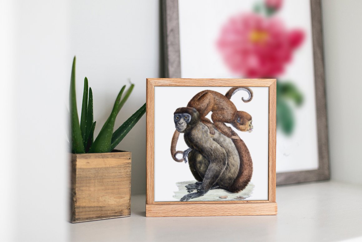 Two monkey on a small poster.
