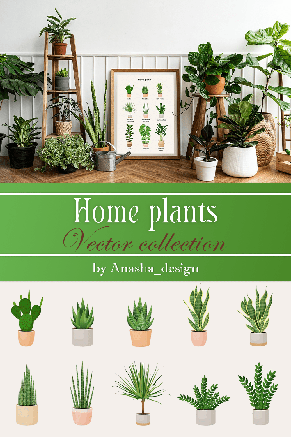 home plants. vector collection pinterest