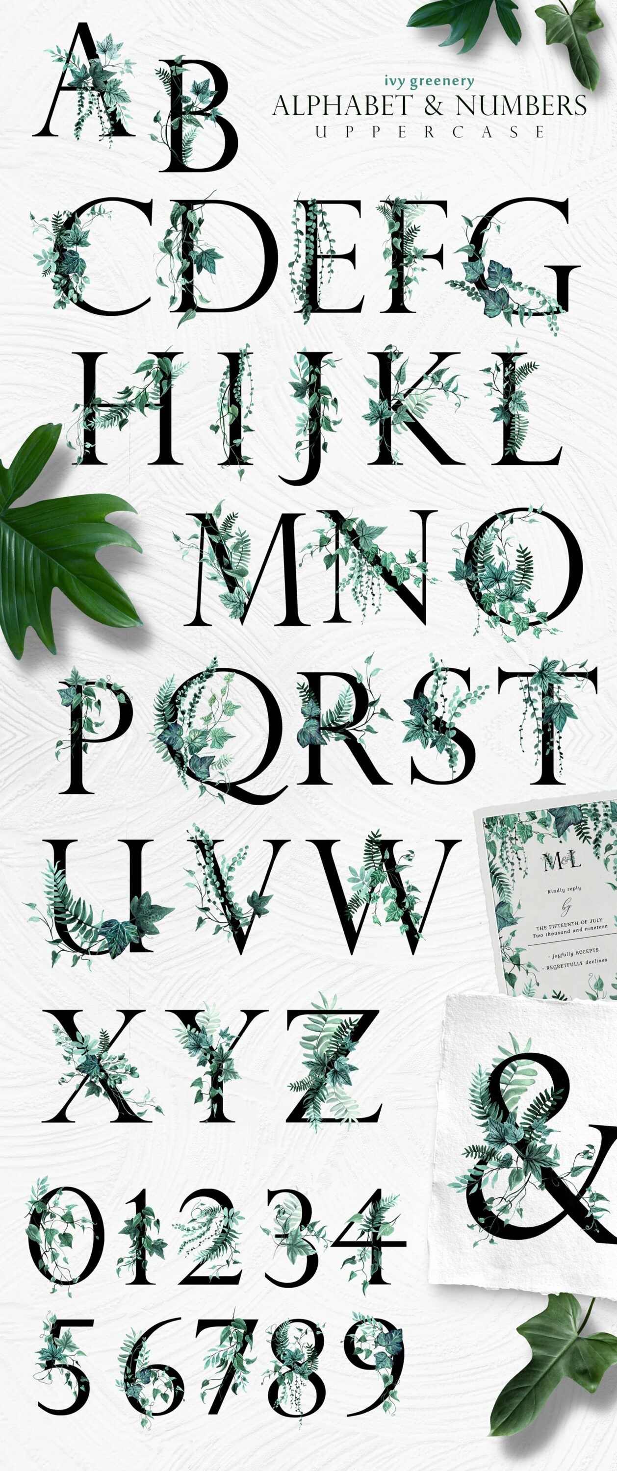 Green ivy alphabet.