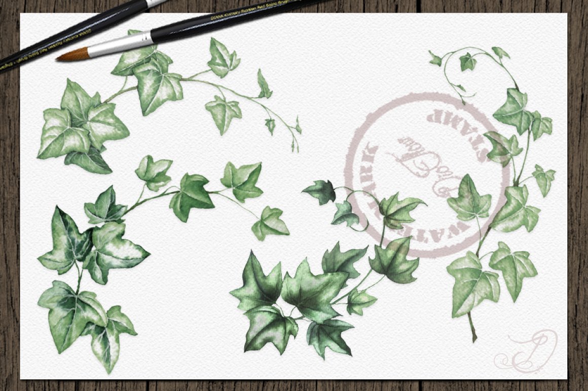White paper with ivy branches.