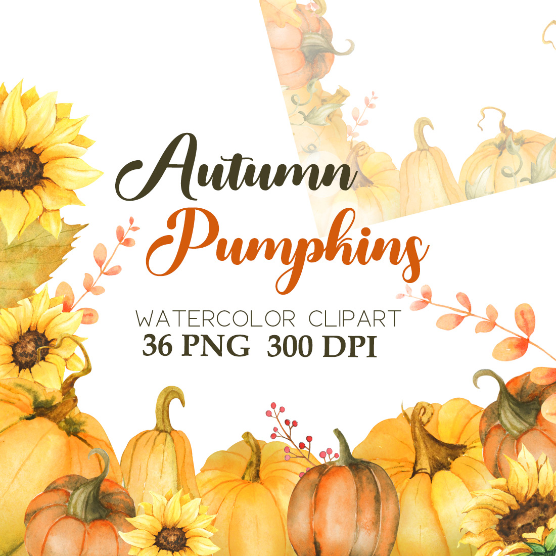 Pumpkins Autumn Watercolor Clipart cover image.