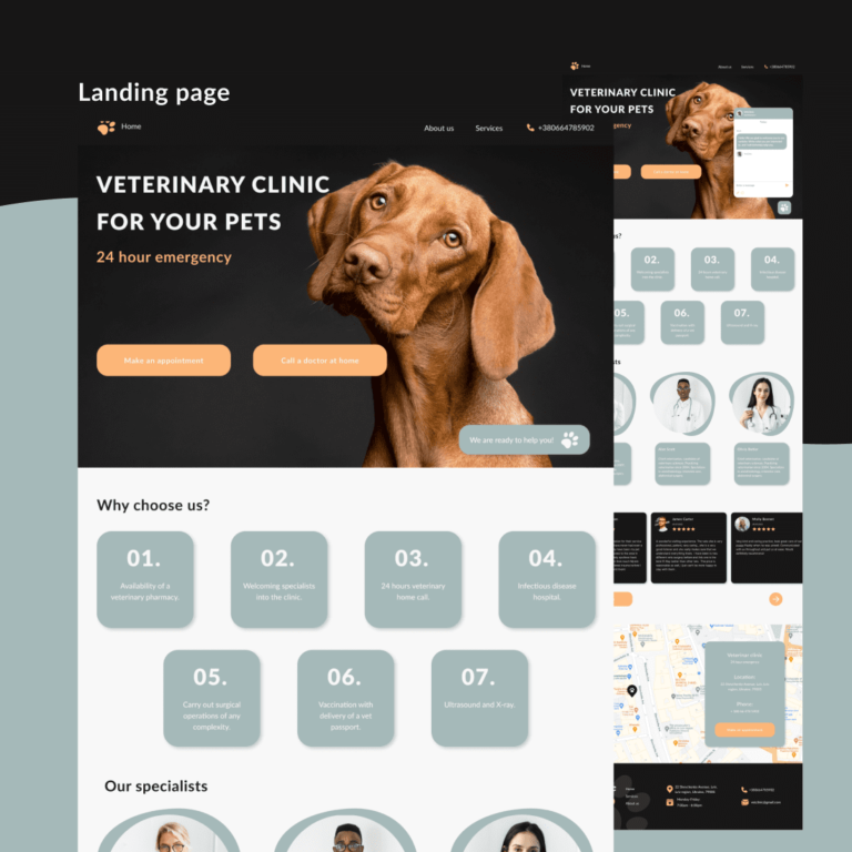 Landing page for veterinary clinic MasterBundles