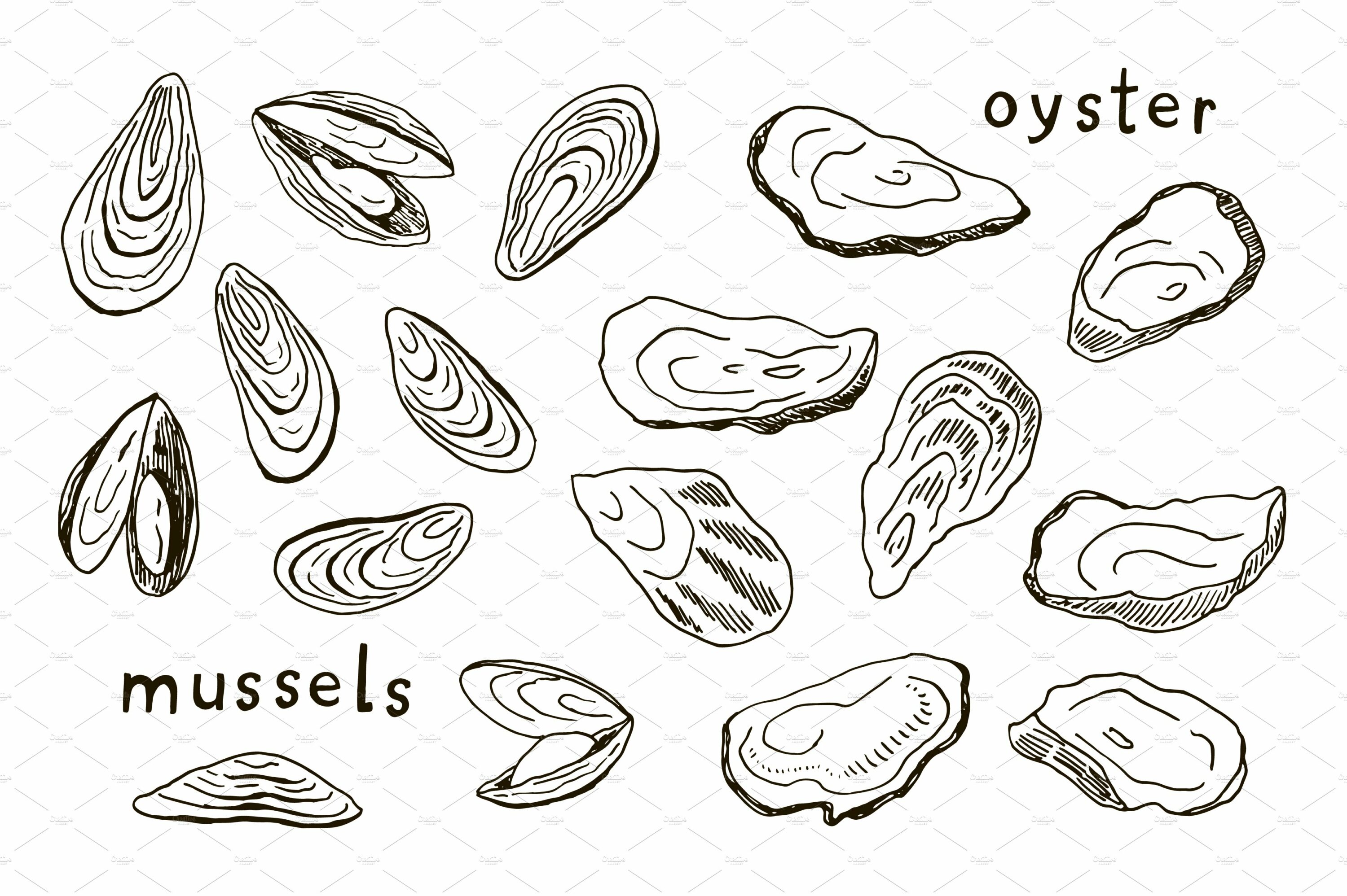 Outline mussels on a whit ebackground.