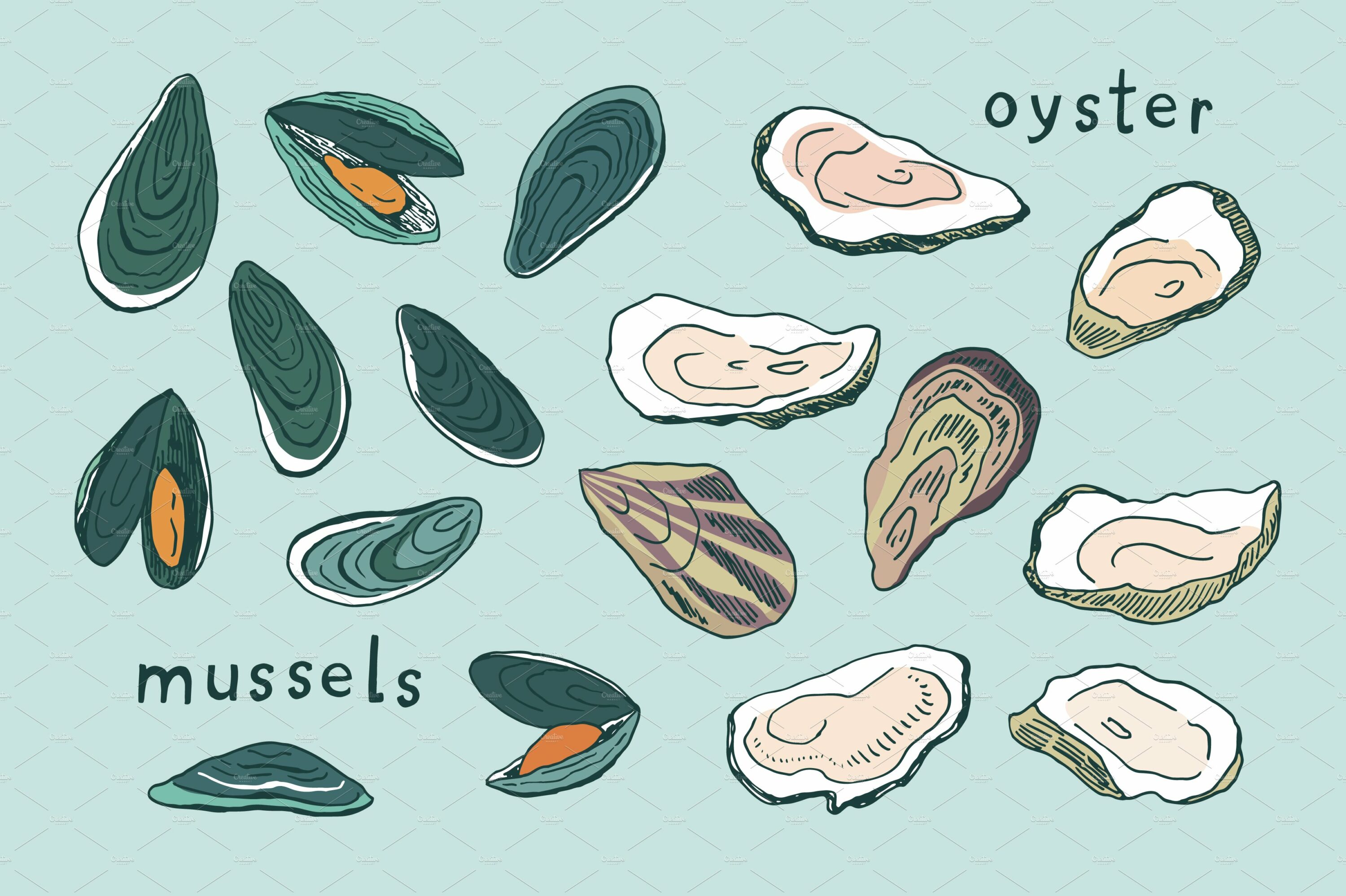 Delicate mussels set.