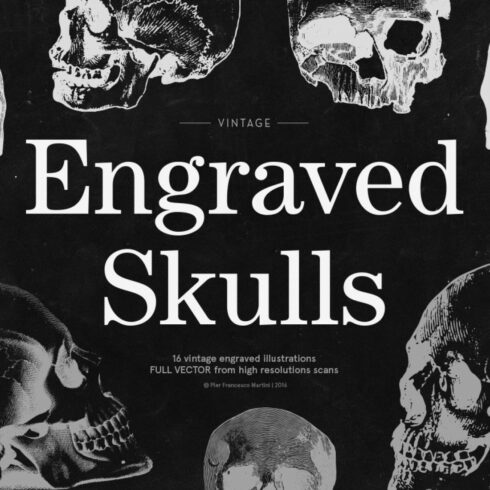 Engraved Skulls Illustrations cover image.