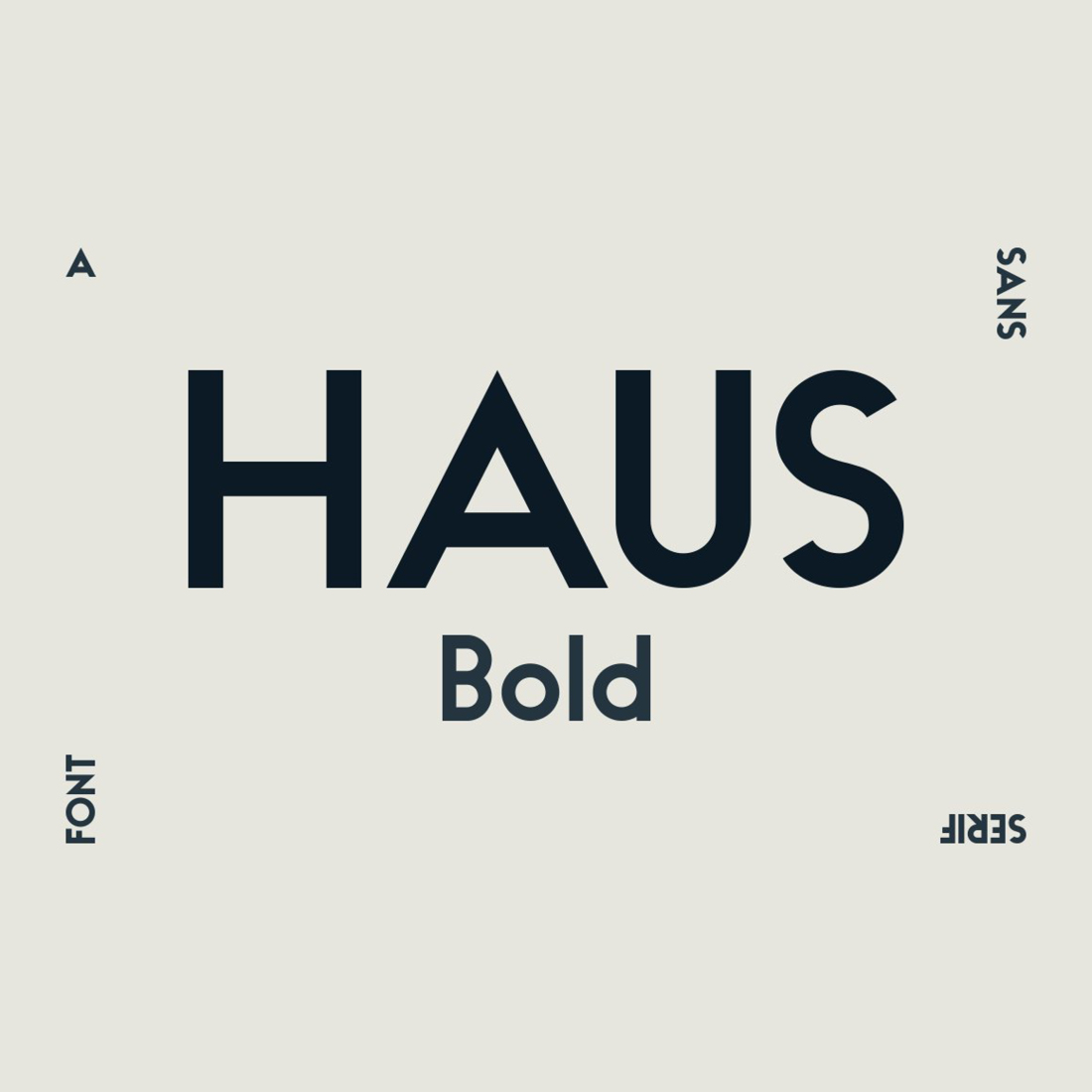 HAUS Sans Bold cover image.