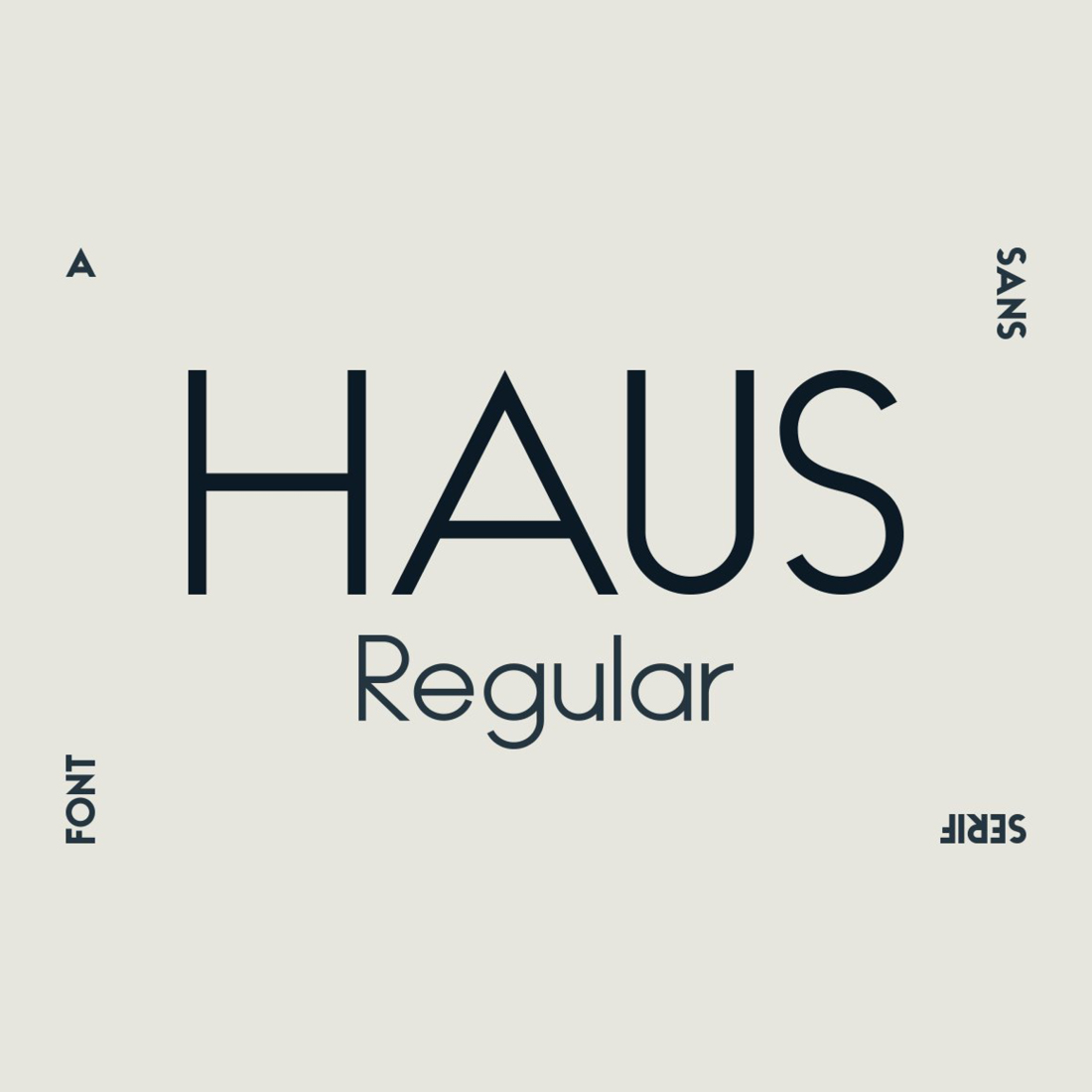 HAUS Sans Regular cover image.