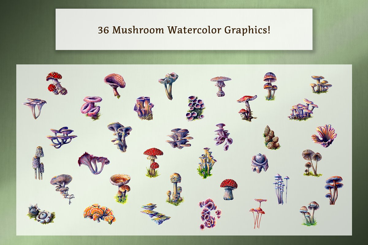 There are 36 mushroom watercolor graphics.