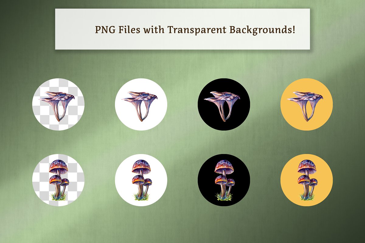 PNG Files with transparent background.