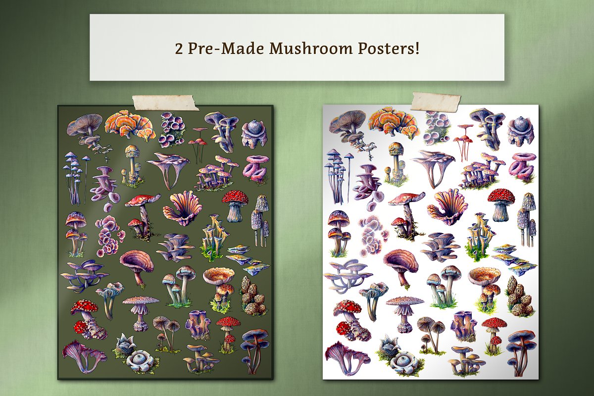 Use pre-made mushroom posters.