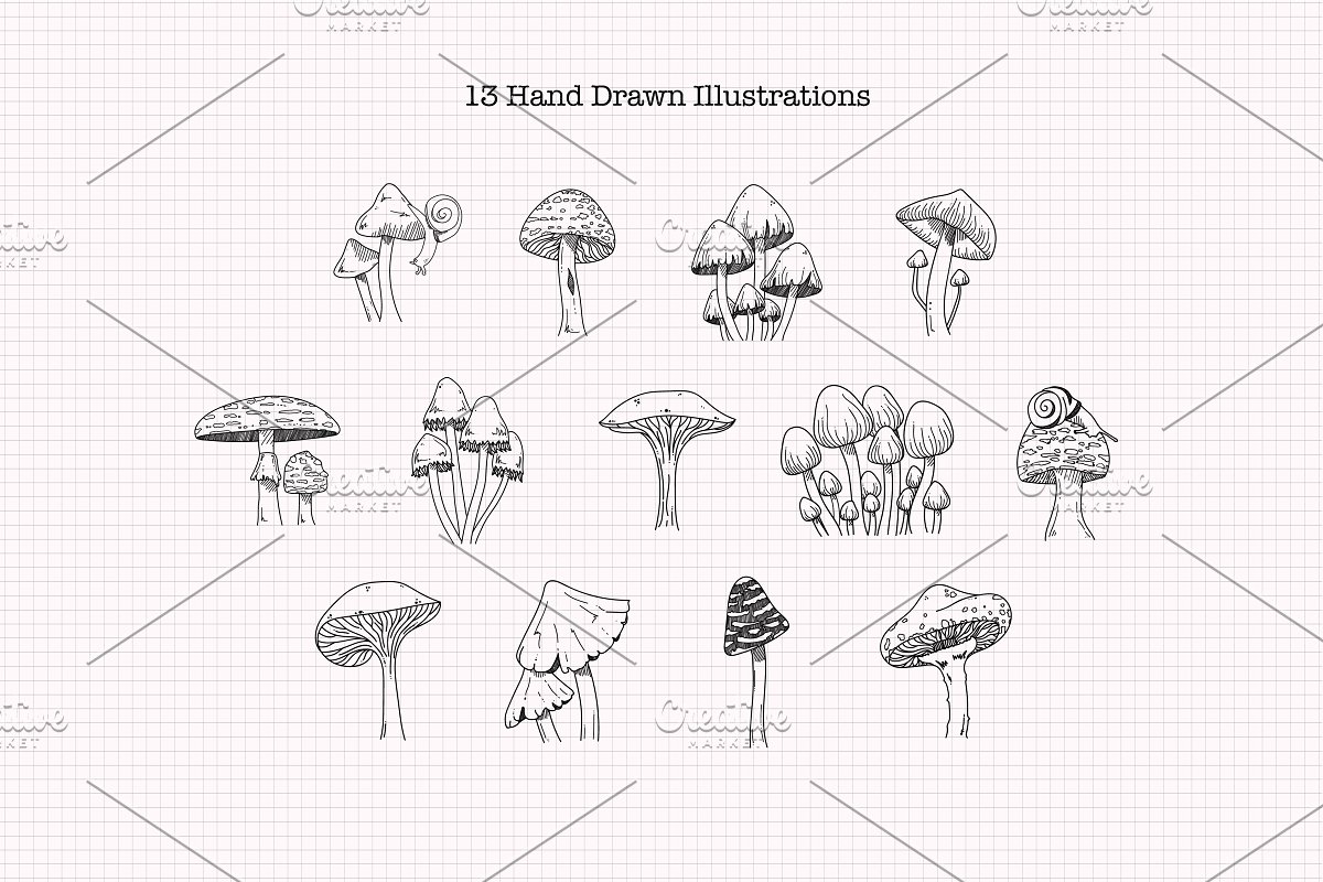 This pack contains 13 hand drawn mushroom illustrations.