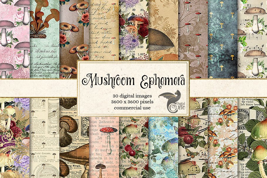 Cover image of Mushroom Ephemera Digital Paper.