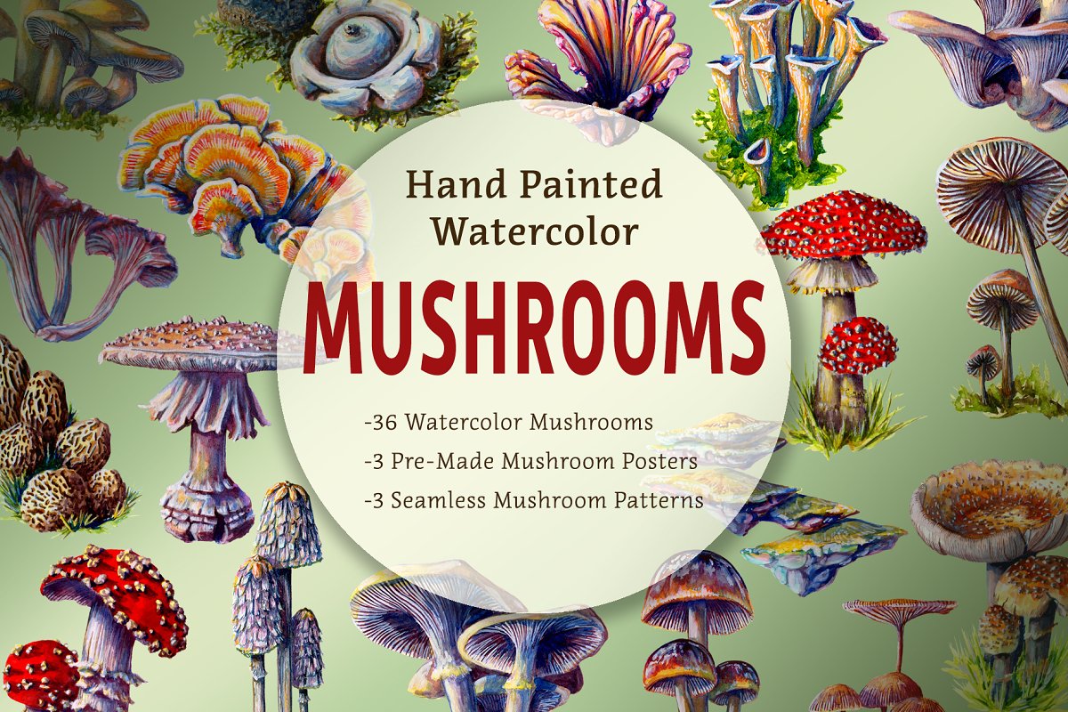 Cover image of Hand Painted Mushroom Set.
