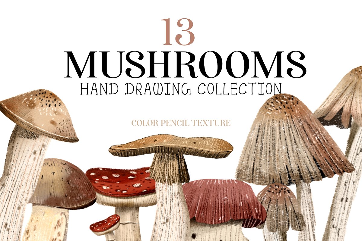 Cover image of Mushrooms clip art hand drawing.