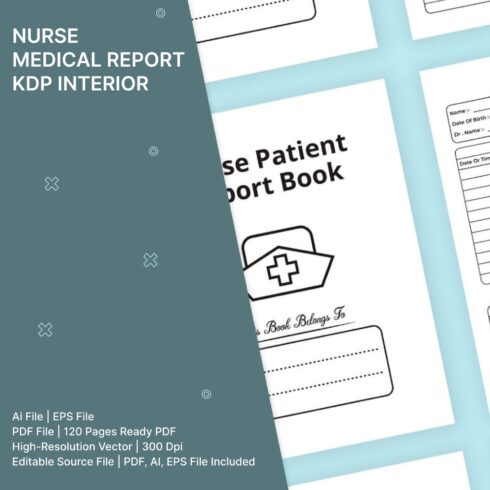 Nurse medical report KDP interior - main image preview.