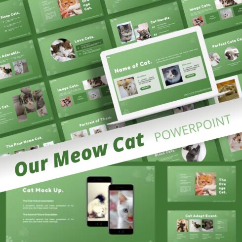 Our meow cat powerpoint template - main image preview.