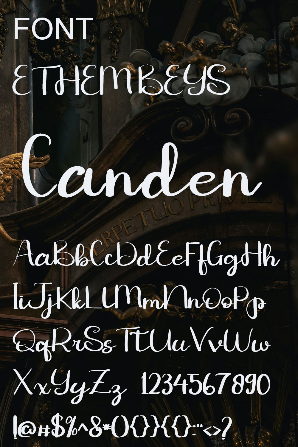 ETHEM BEYS Stylish Font - Only $18 pinterest image.