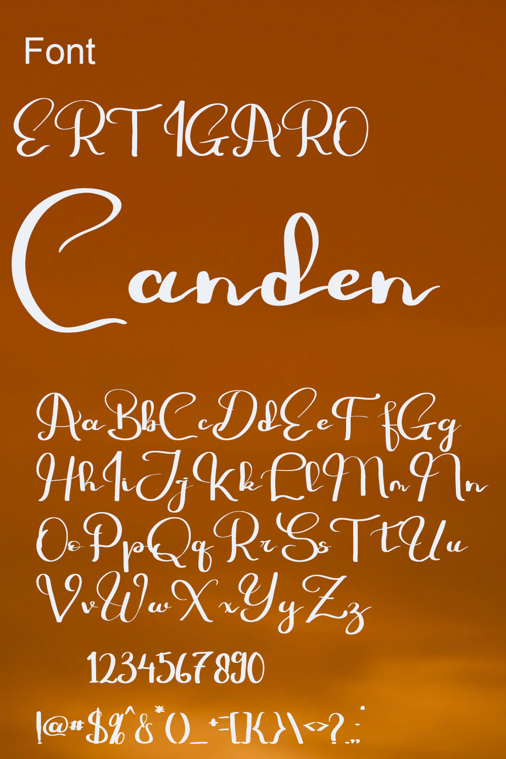 ERTIGARO Simple Handwritten Font - Only $18 pinterest image.