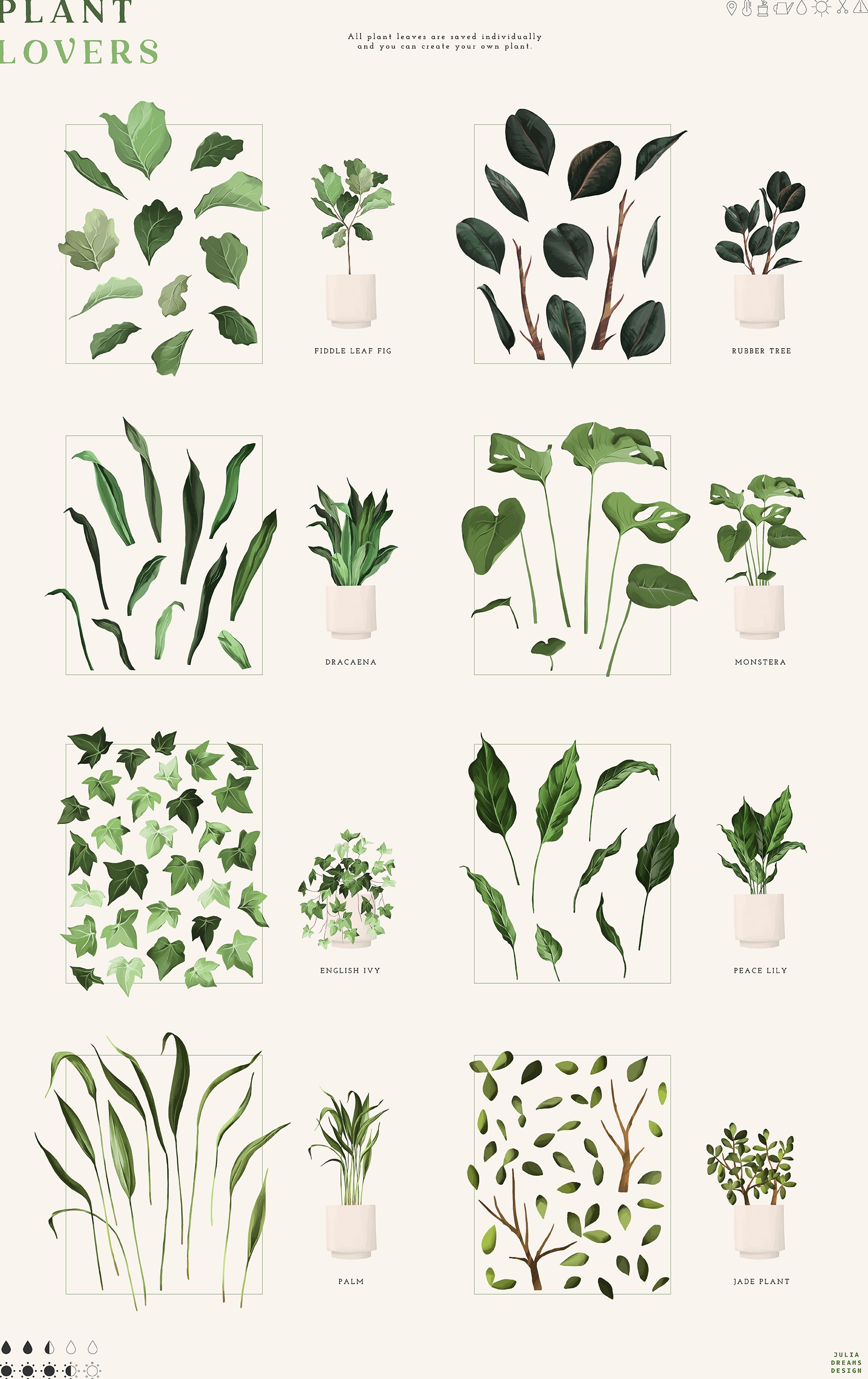 Cool plants collection.
