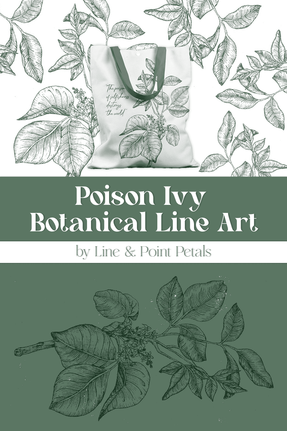 poison ivy botanical line art pinterest