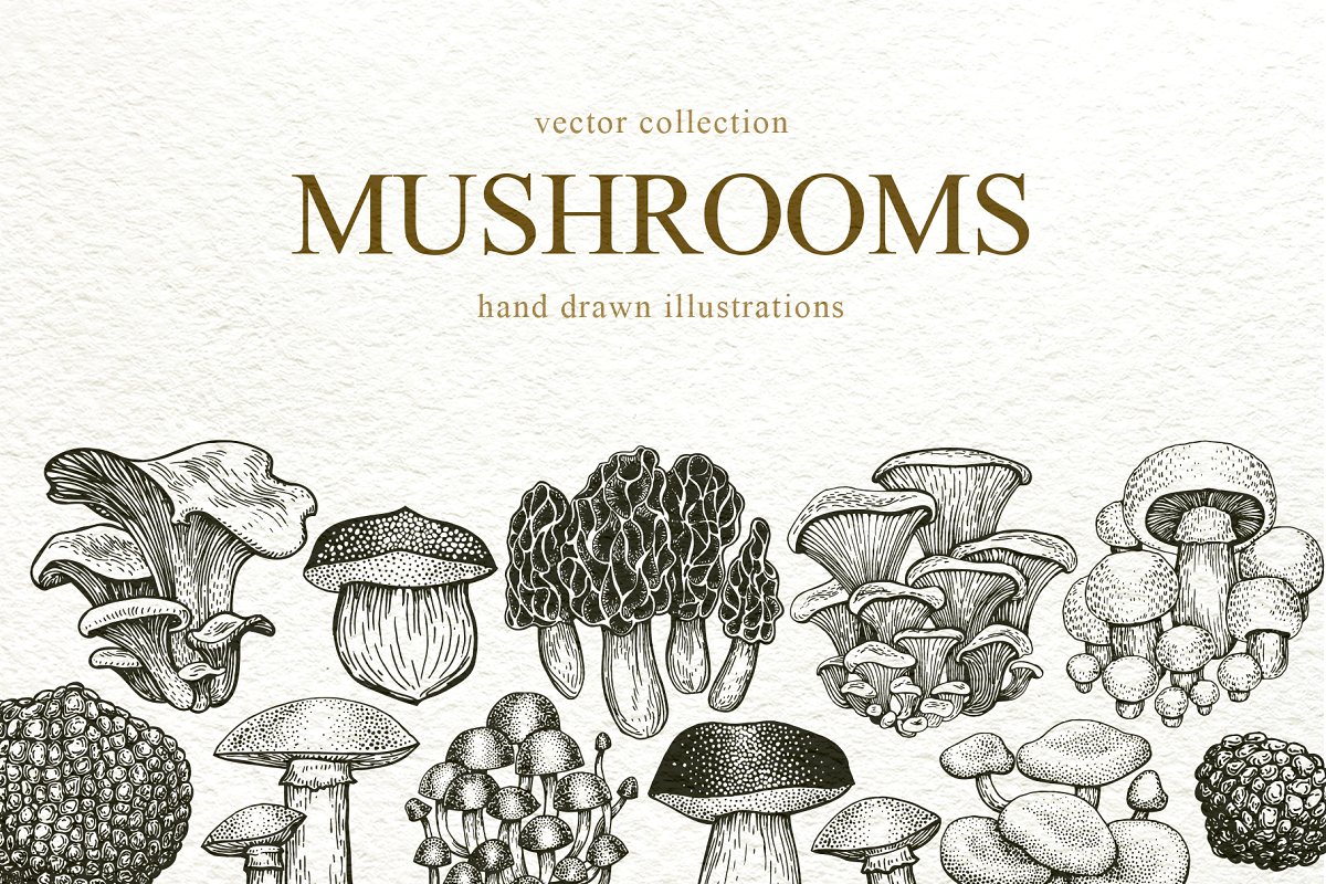 Cover image of Mushrooms Vector Collection.