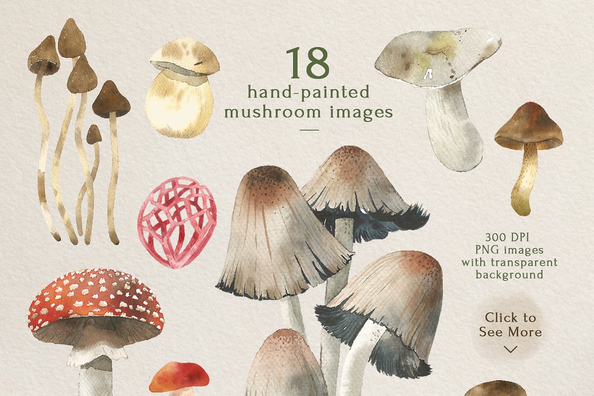 This set includes 18 hand-painted mushroom images.