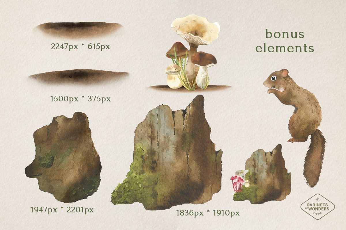 Use these bonus elements for creating your projects.