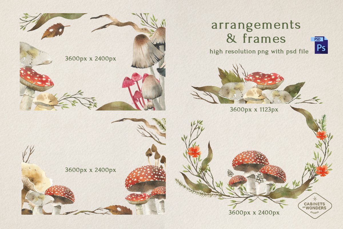 Arrangements & frames with mushrooms.