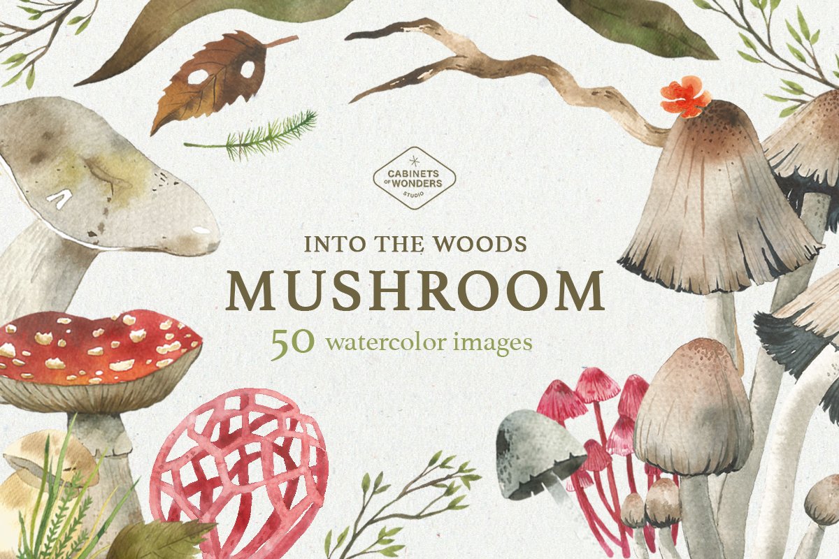 Cover image of Mushroom Watercolor Clipart Set.