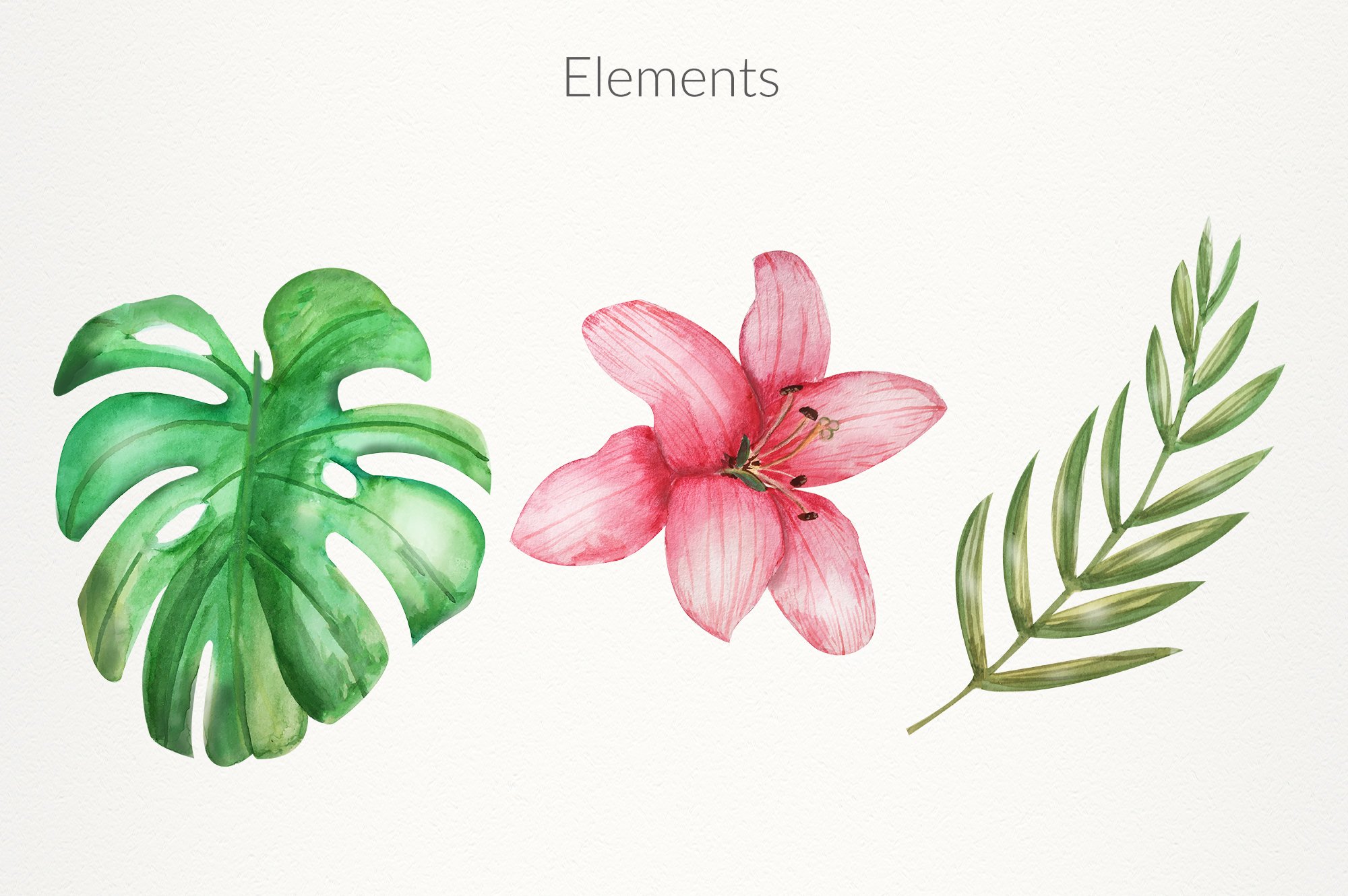 Some separate elements for full tropical composition.