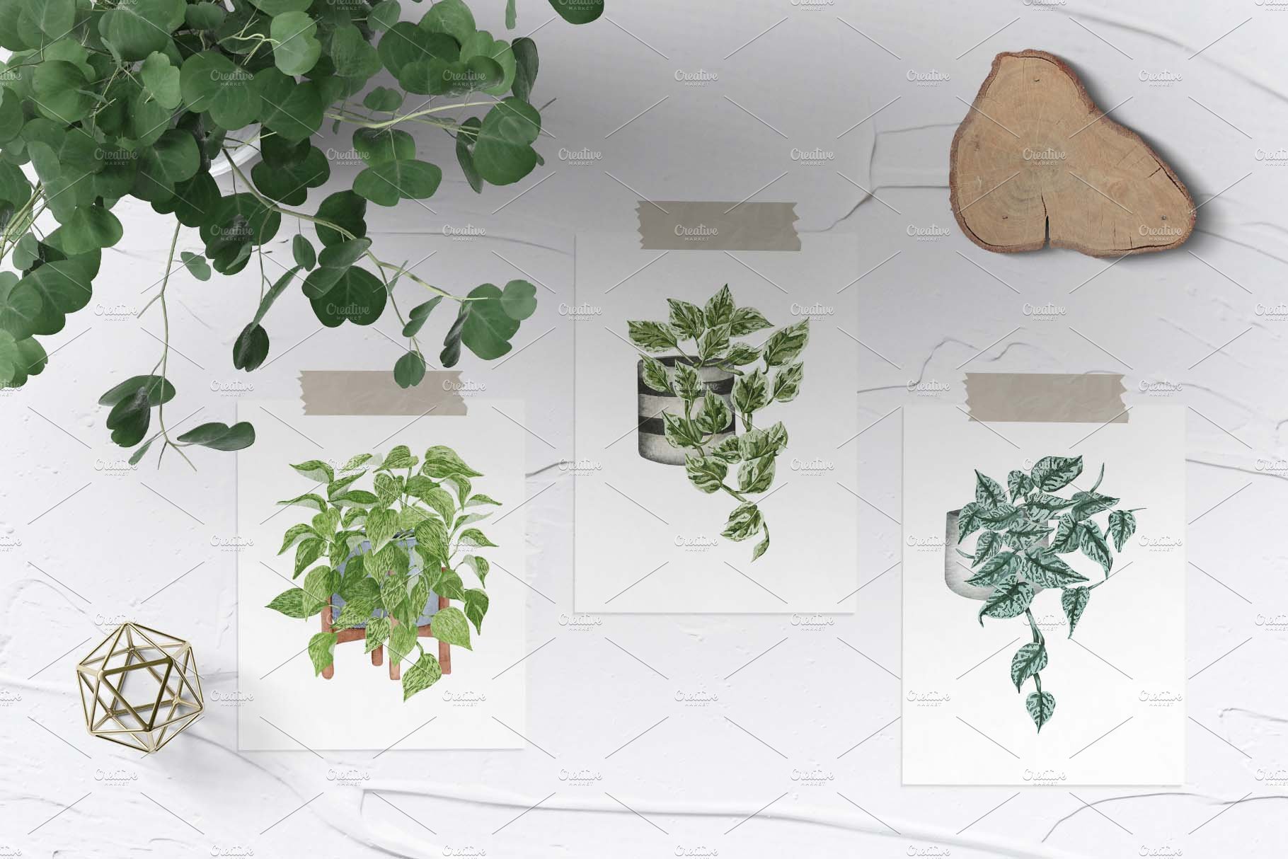 Three white papers with plants.