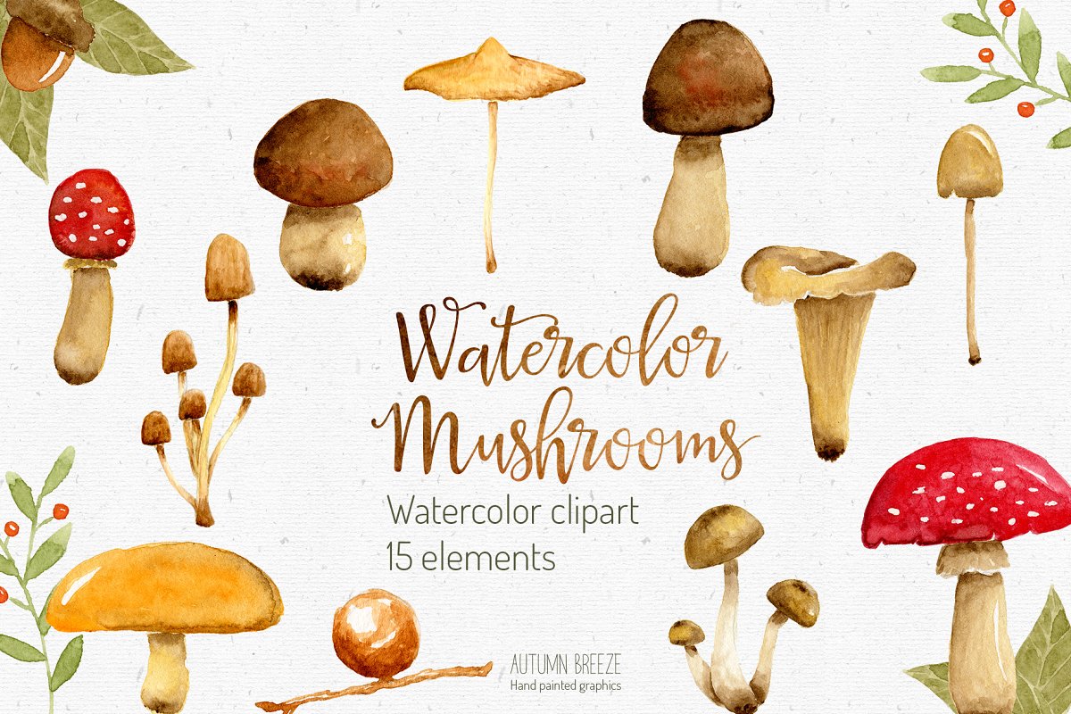 This watercolor clipart includes 15 mushroom elements.