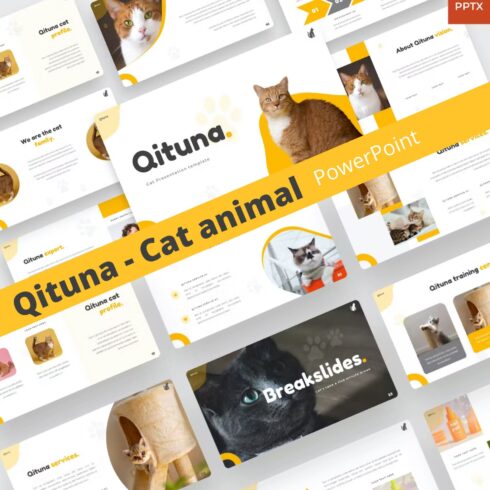 Qituna cat animal powerpoint template - main image preview.