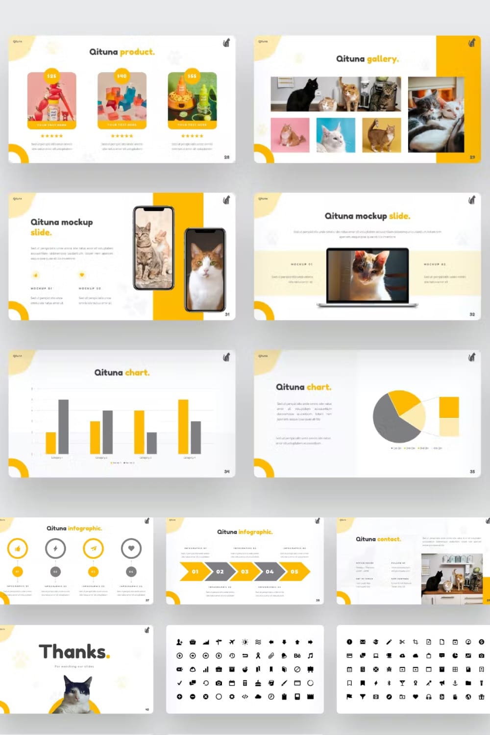 This Presentation Template can be used for any variety of purposes.