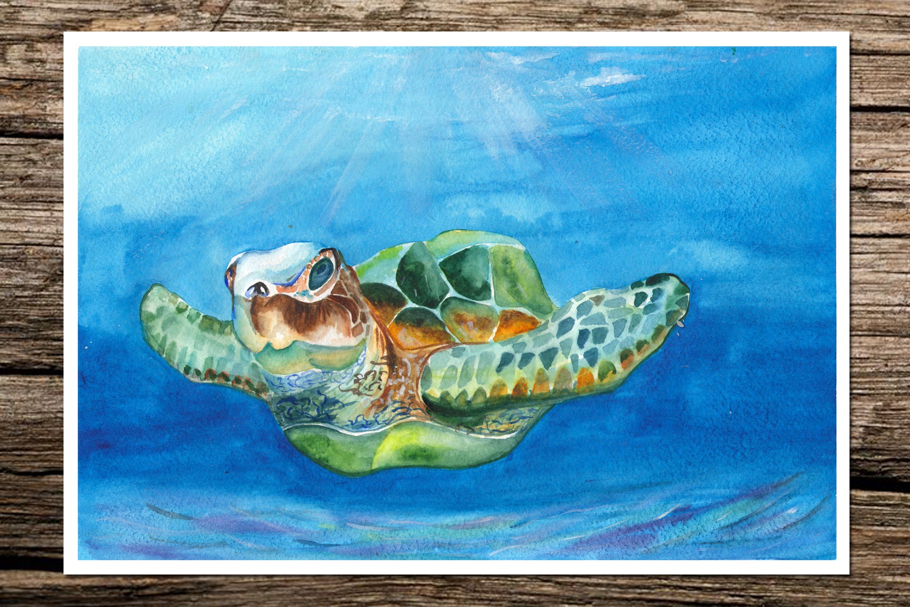 Swimming turtle on a poster.