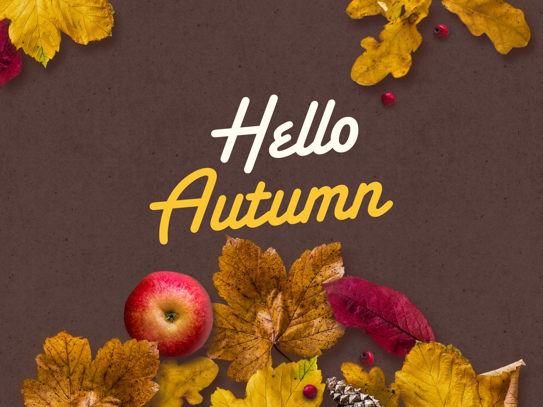 Dark grey matte background with fall illustrations.