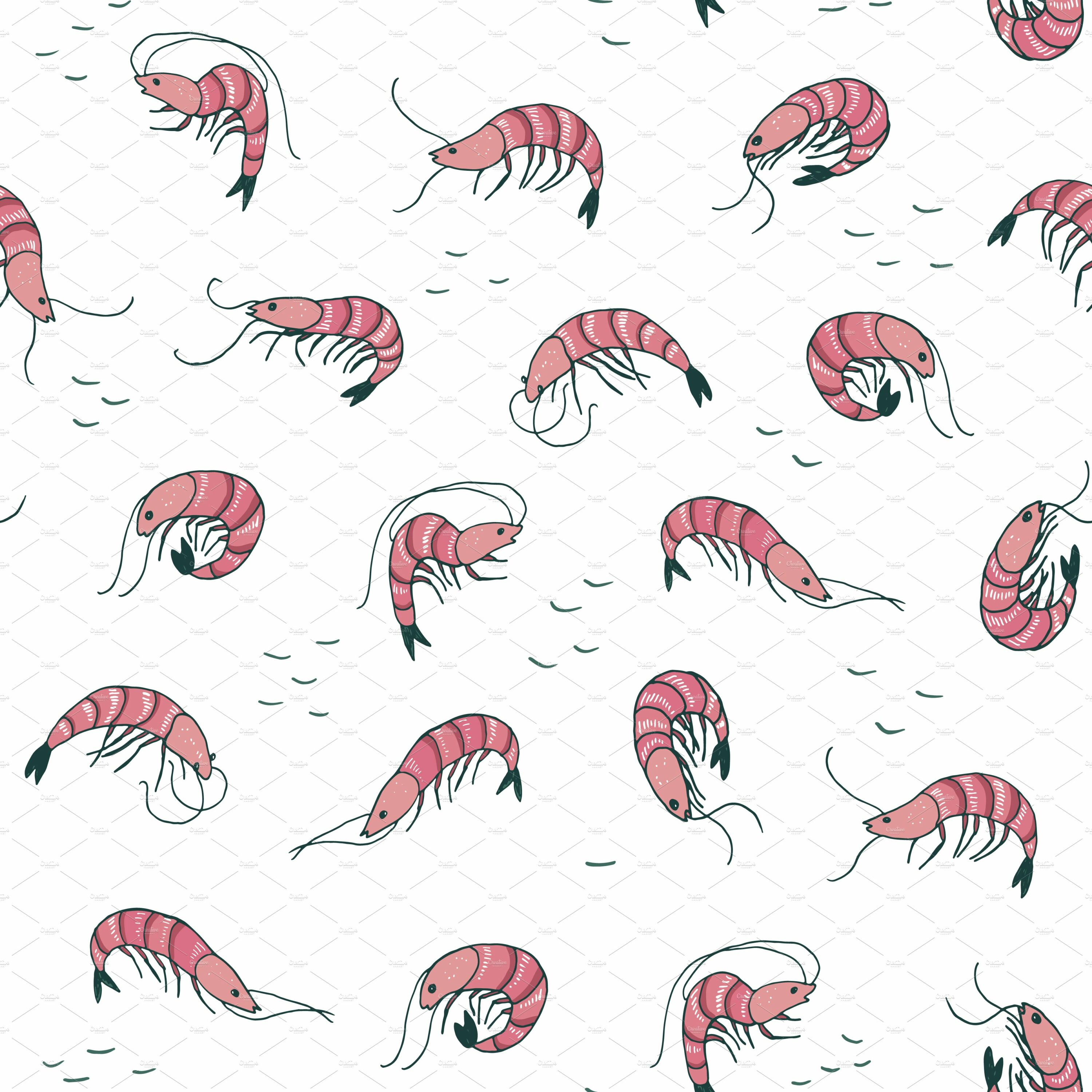 White background with funny shrimps.