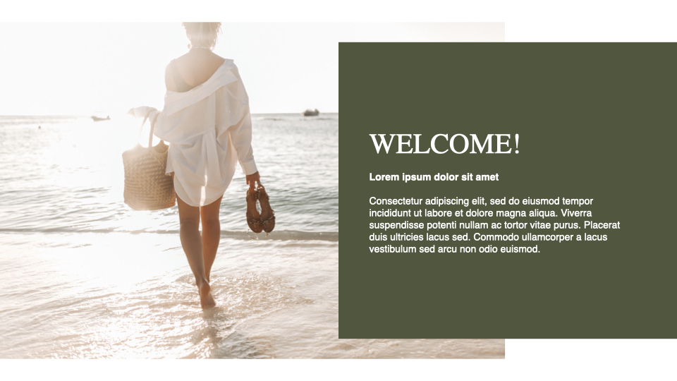 So light and stylish slide with olive text block and image.