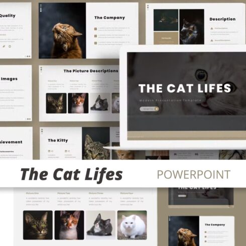 The cat lifes powerpoint template - main image preview.
