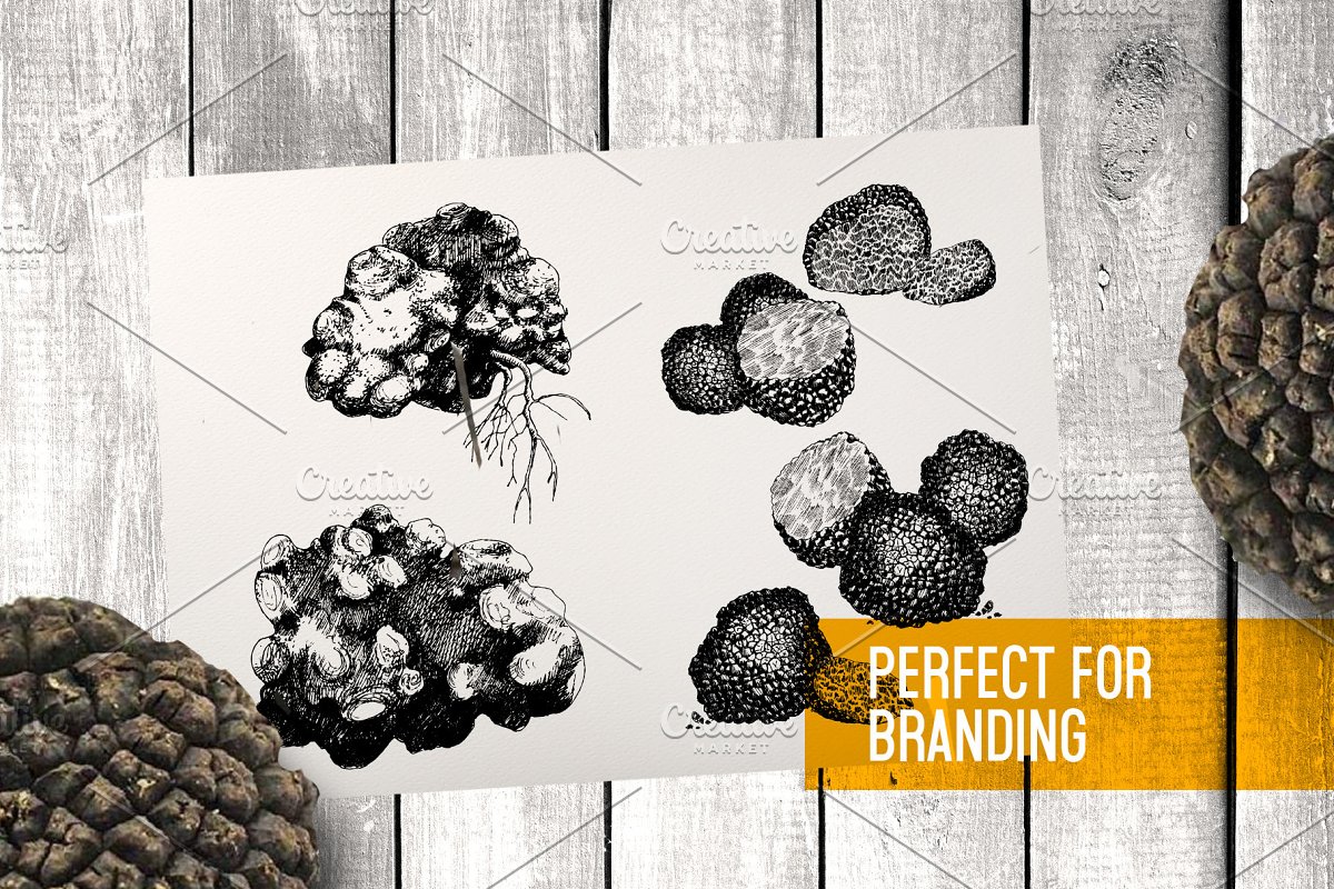 Truffles are perfect for branding.